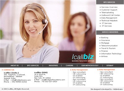 Websites: sample work